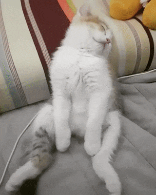 притворяешься мертвым, чтобы не работать