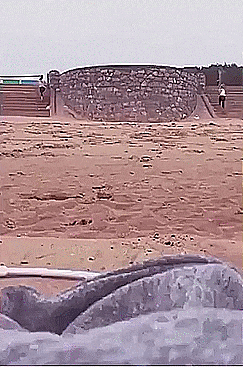 1497291838154169758