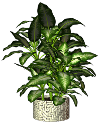 0_185268_2e7534fa_orig