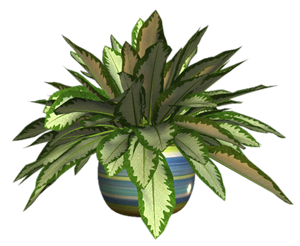 0_167b61_7013683c_orig