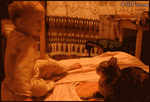 0_9ab9a_de93d7f_M