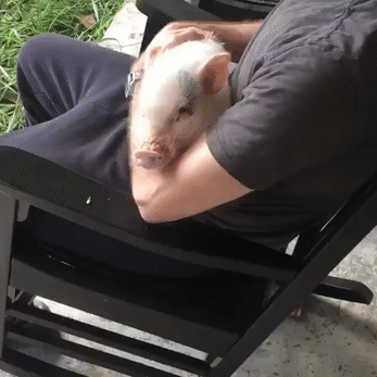 Умиротворение