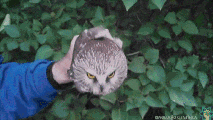 Контроль уровня