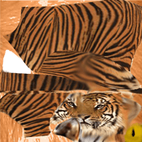 тигр