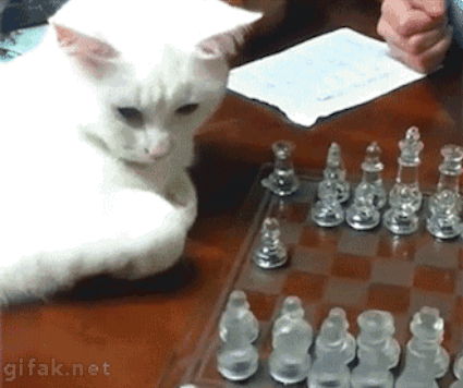 who-says-its-cheating