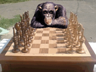 1432321487