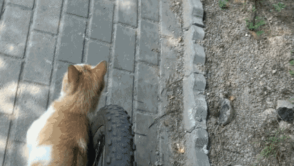 hjIugM0_-_Imgur