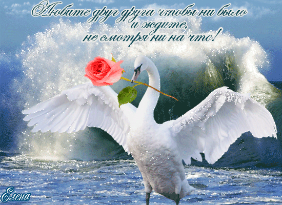 Лебединая верность