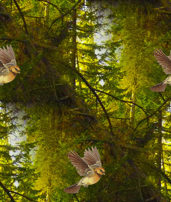 85 Поцелуйчик мимоходом