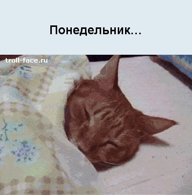 2043262