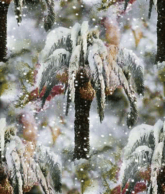 122 Наш дед мороз