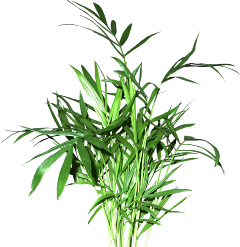 0_e3637_fc19849d_orig