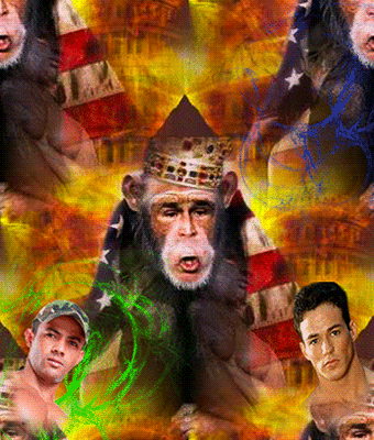 153 Красавчики,подь сюды