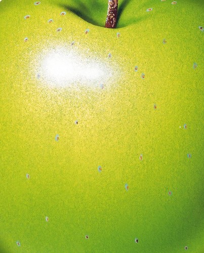 0_120d0c_df808955_L
