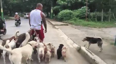 Понятливый