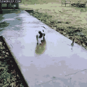 daily-gifs-mix-968-22