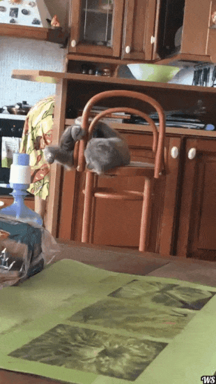 Что там упало!