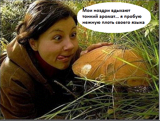 3d49c4a3d91d8436526225b5d5cc6e2ac219b9378c063621ea29ae5d3d68d261