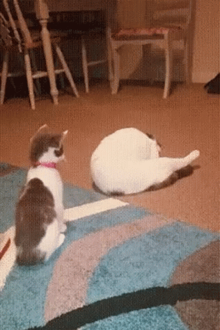 Молодой, не понимает