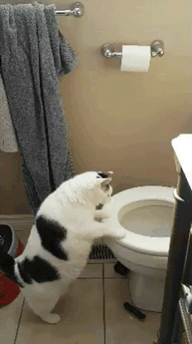 eb06177cc152e99b8e8243d411ea4d53