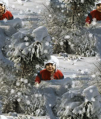 231 Не страшны королевы