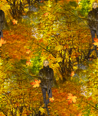 282 Новая сказка