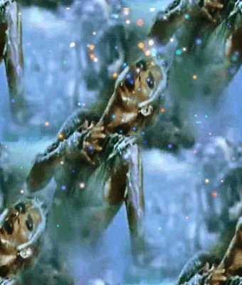 288 Сердце моей любви