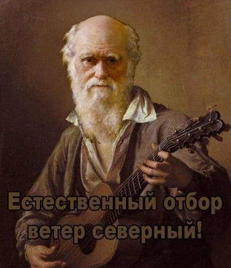 1455459669_ung5geac-sa