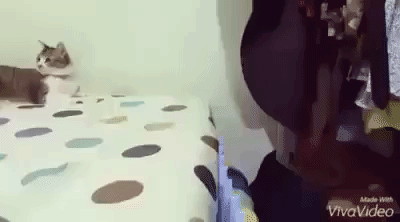 Довыпендривался