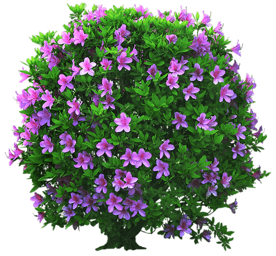 0_18ecab_3c4abd28_orig_yapfiles.ru