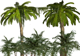 2205a5b740c98a7ffa0b3