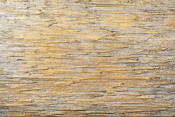 ramdisk-crop_173886388_y24V