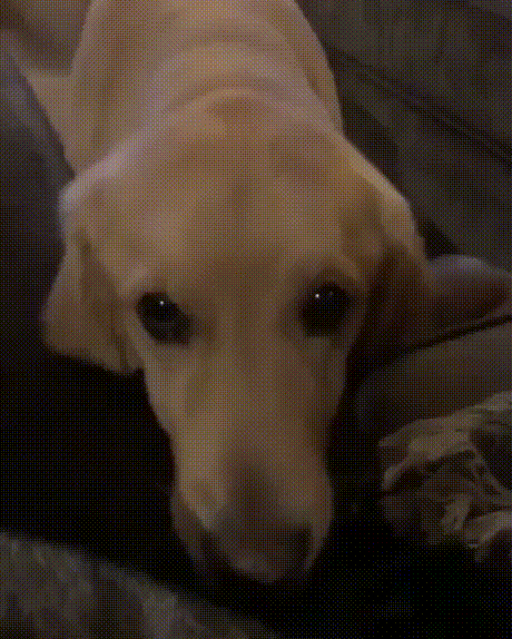 1508664318165287501