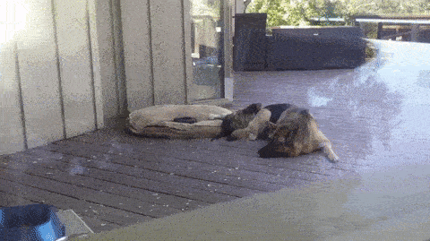 Спать, я сказала!