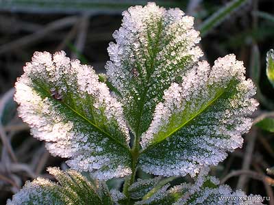 i101484-contentImage1_1-original