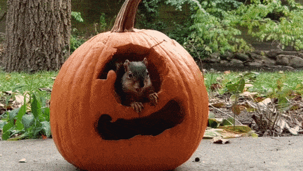 Добротный дом