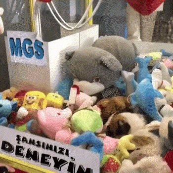 Потревожили