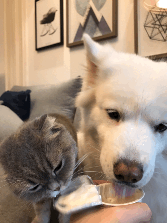 Всем хватит