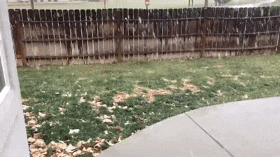 Первый снег