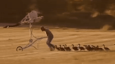 Скоро выборы