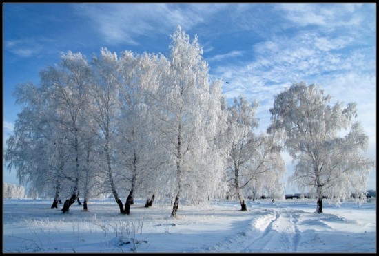 35132255_1226460079_423941_731