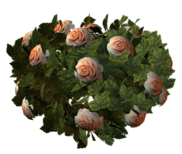 0_10dc2a_42907f06_orig_yapfiles (1)