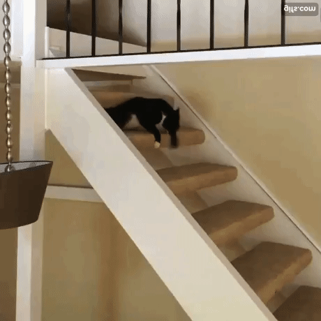 Боязнь лестницы