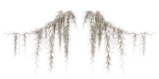 58df7920-1219-5c75-47d4-869953d56a4c-22