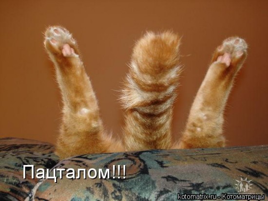 clip_image001