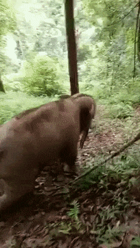 ezgif_com-optimize_3