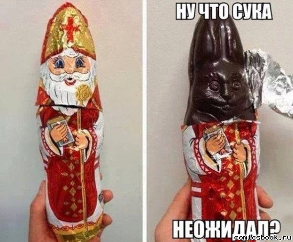 nu-chto-suka-ne-ozhidal