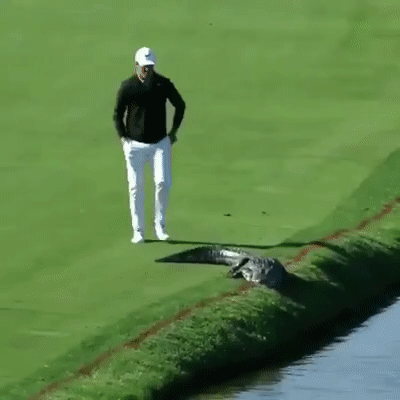 Три типа людей