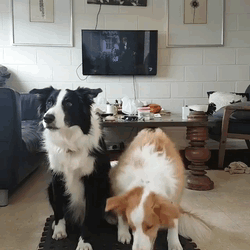 Семейное фото