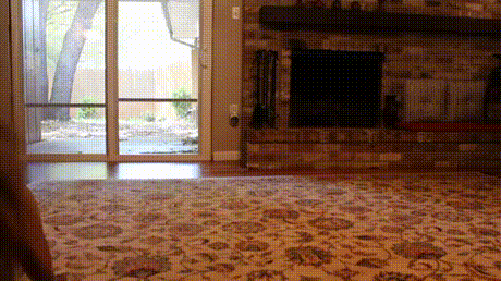 tumblr_oruu54jK9N1vnq1cro1_500